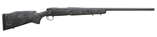 Remigton 700 Long Range
